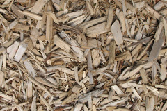 biomass boilers Burwood